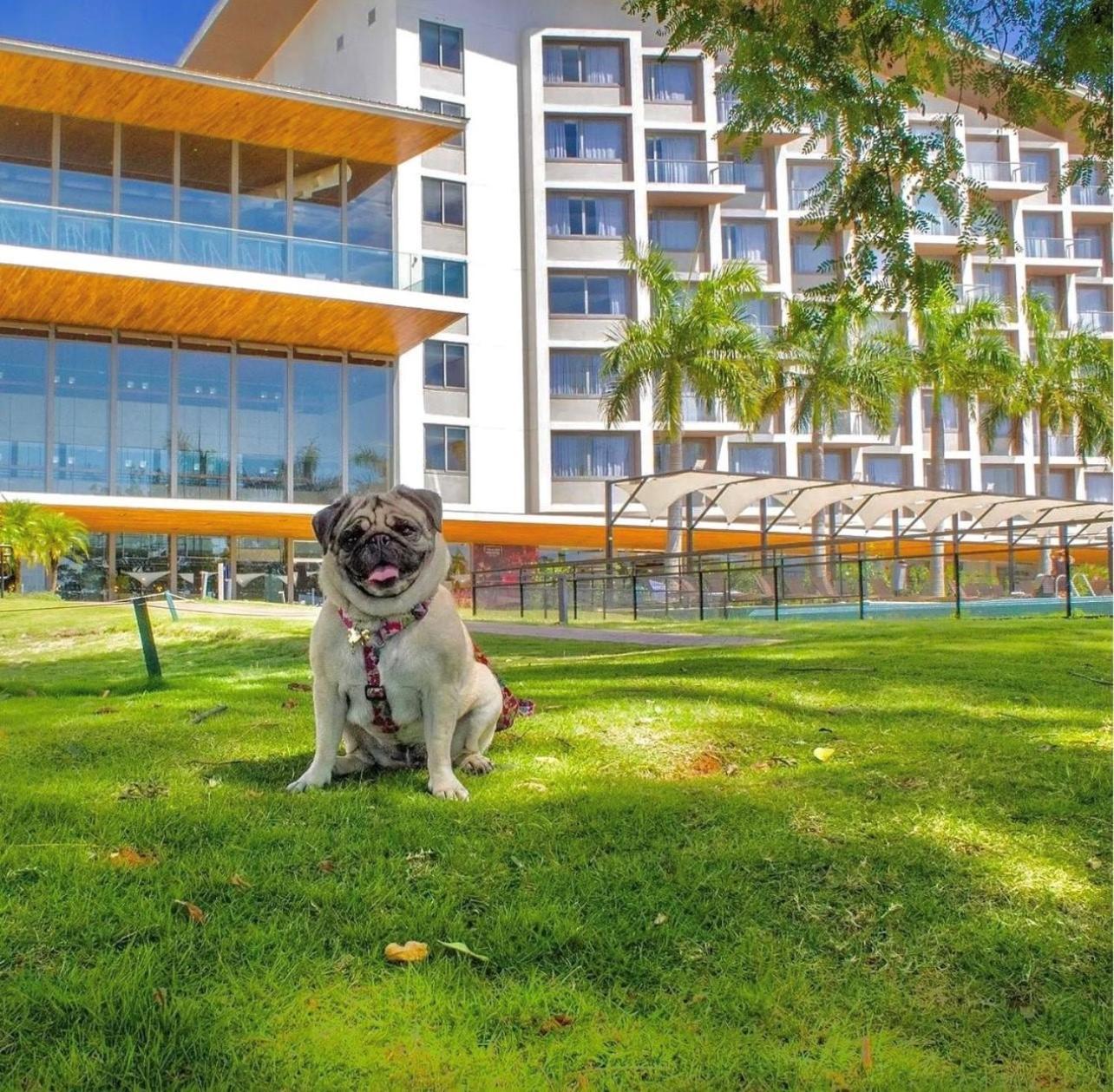 Novotel Itu Terras De Sao Jose Golf & Resort Extérieur photo